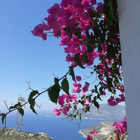 Glennhouse * Kaş