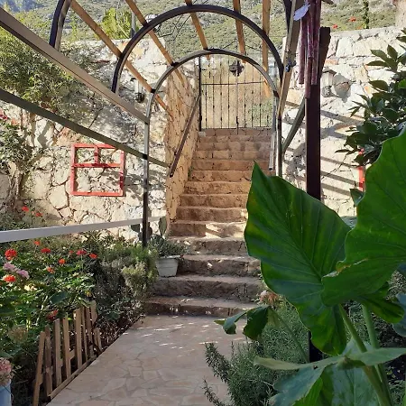 Glennhouse بيت للعطل كاس