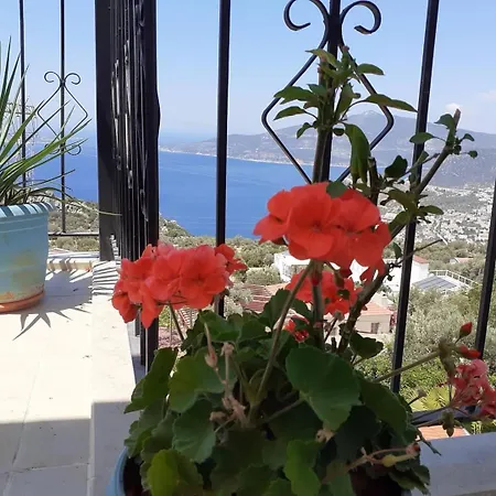 Feriehus Glennhouse *