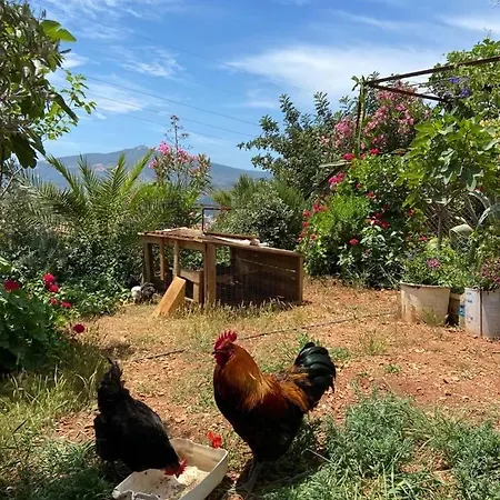 Glennhouse Feriehus *