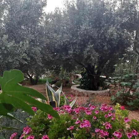 Glennhouse Kaş