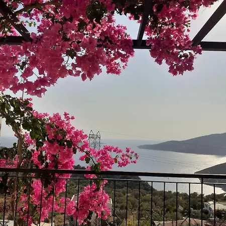 Glennhouse Tatil Evi *