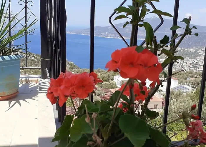 Holiday home Glennhouse *