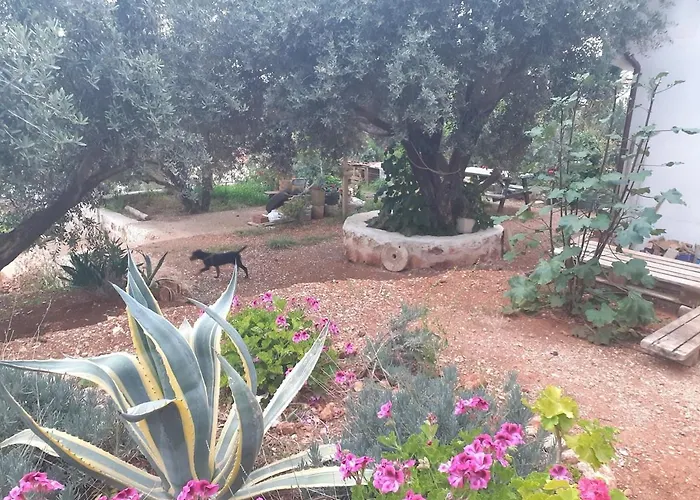 Glennhouse Holiday home *