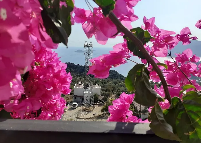 Glennhouse Holiday home Kas