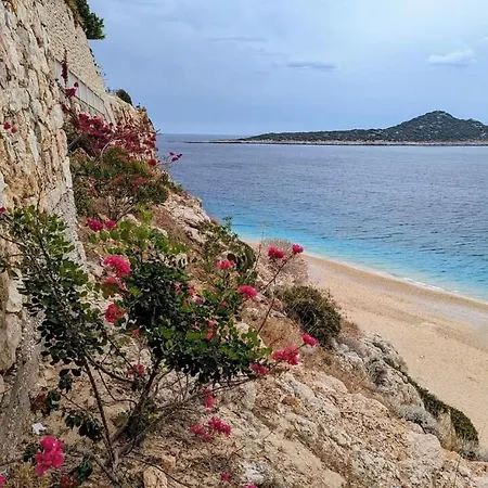 Glennhouse 別荘 カシュ